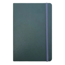 CADERNETA 1/8 CAPA DURA BROCHURA 80FLS VERDE SEM PAUTA 80G 140X210MM REF P049 ROYAL PAPER