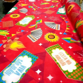 TECIDO TNT FESTA JUNINA 1,40X1M (VERIFICAR ESTAMPAS) SANTA FÉ